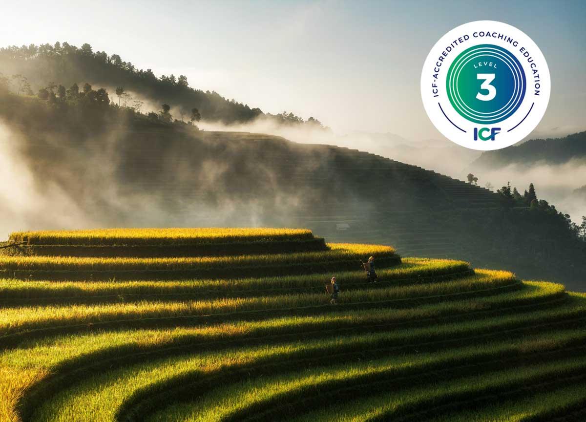 Certified EQ Master Coach (ICF Level 3) Bali