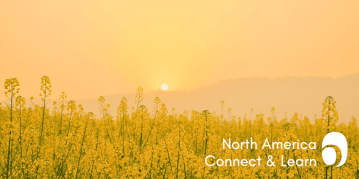 N.America Connect & Learn "Perfectionism"