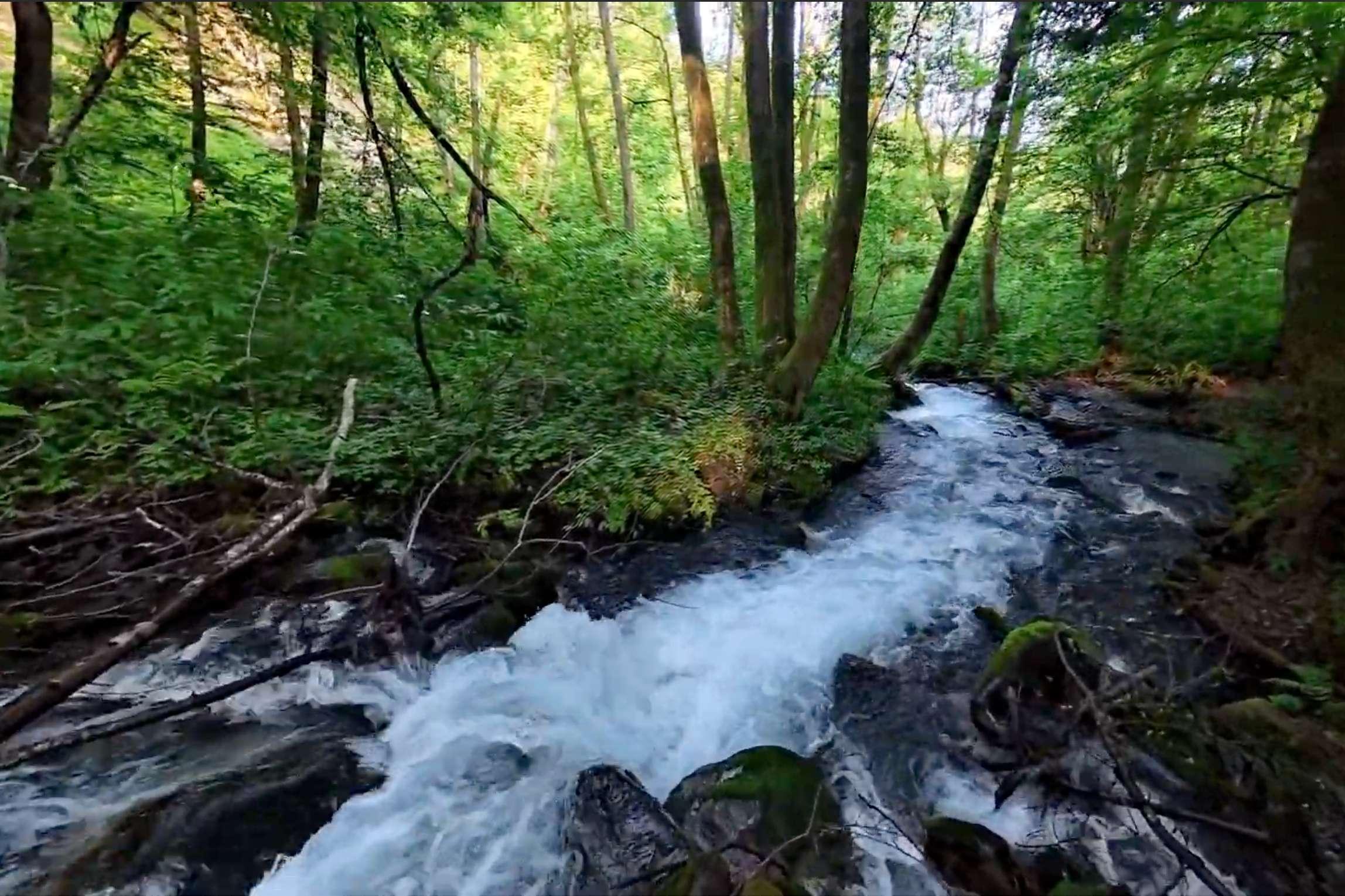 LATAM Connect & Learn "Taller Emotion Rules 📘"